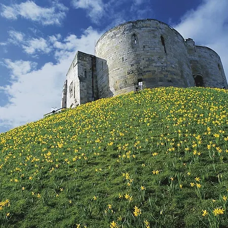 아파트 Serenity The *